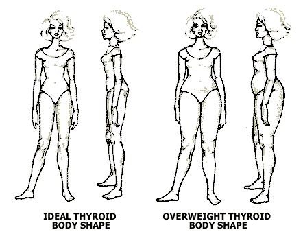 thyroid.gif image by joan_attack