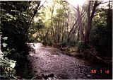 Spring Valley Texas Creek, Spring Valley
